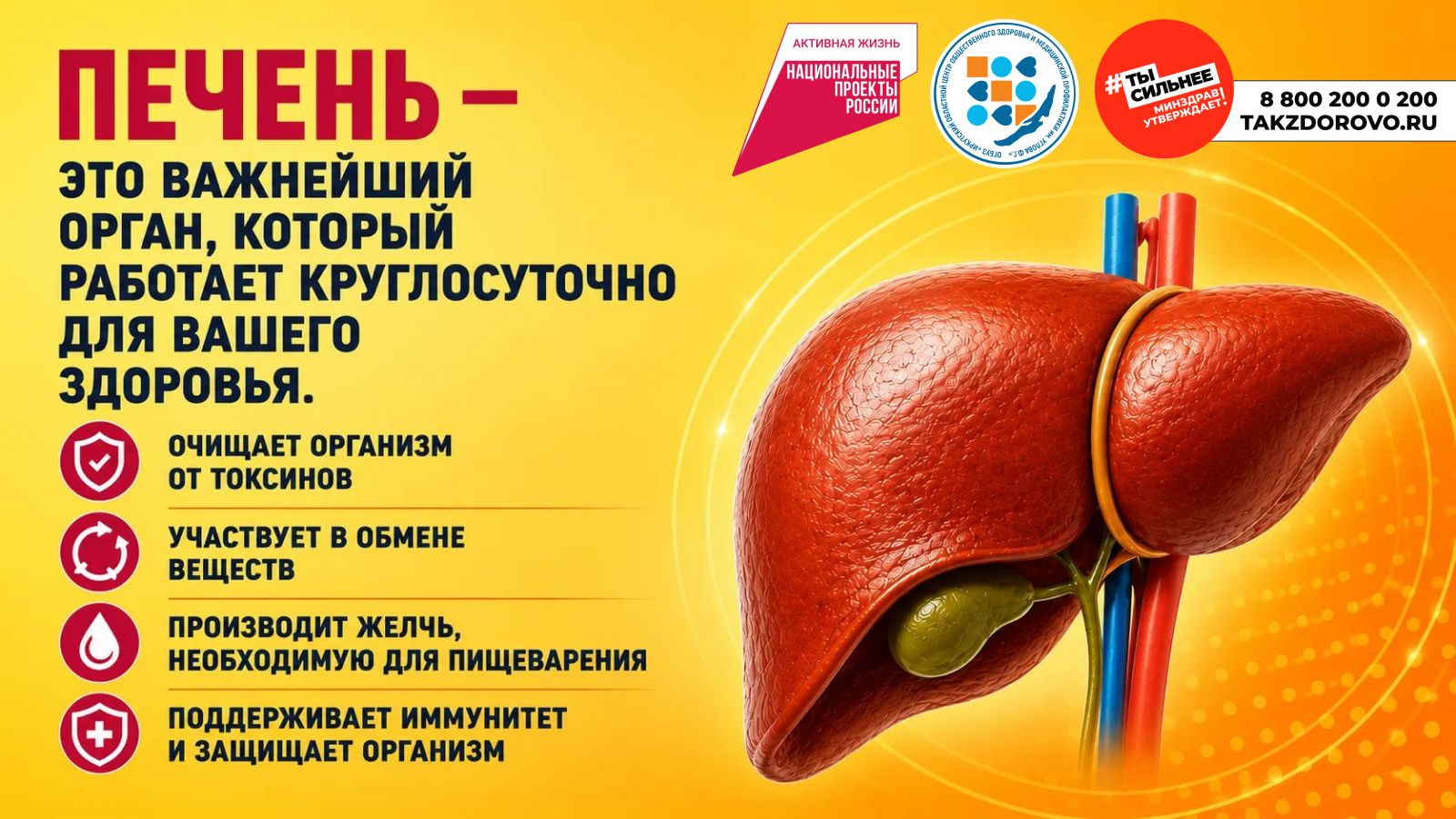 Неделя профилактики заболеваний печени